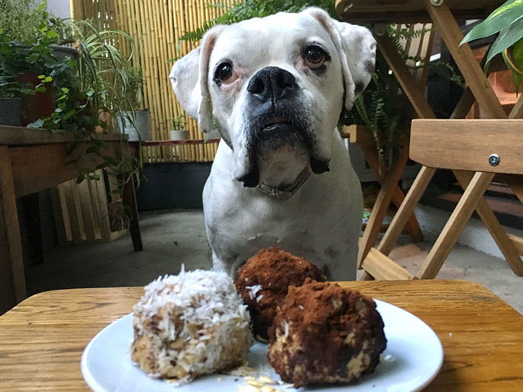 Yummy All Natural Truffle Recipe For Your Dog The Wuffle Wigglywoof